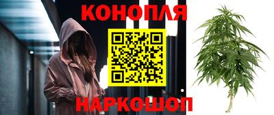 гидропоника Обнинск