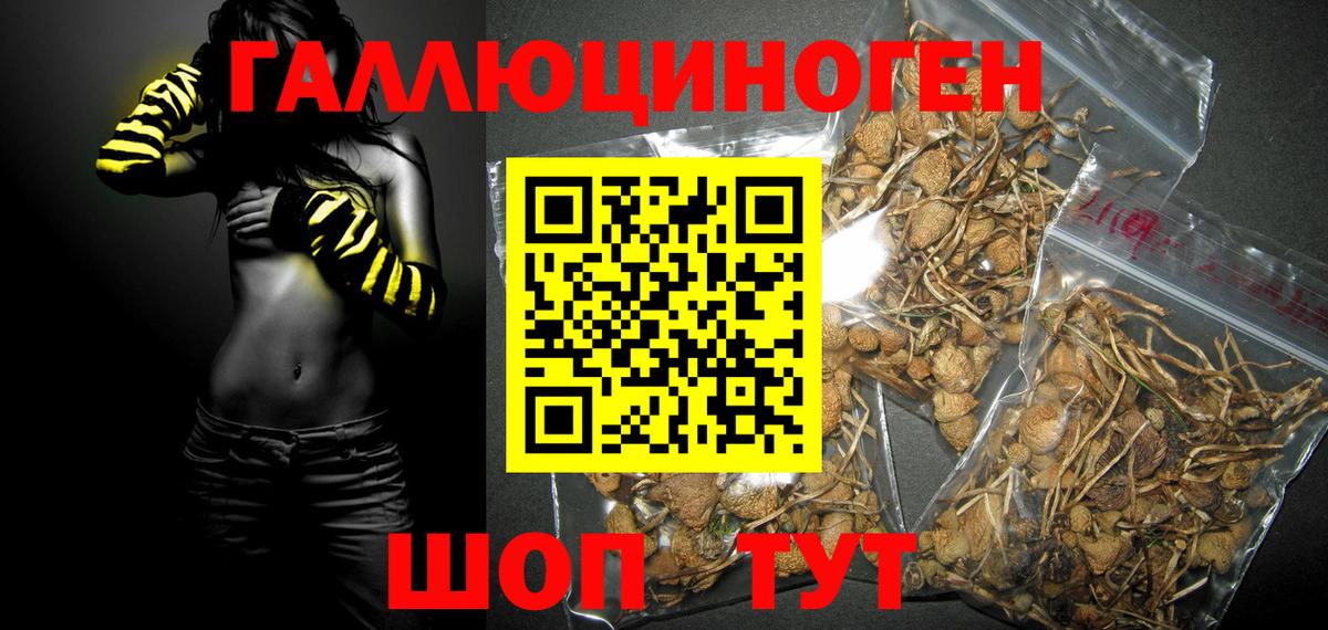 Псилоцибиновые грибы мухоморы Севастополь